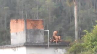 Lo agarran follando en el techo de la casa